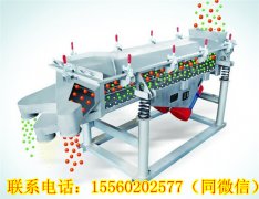 湖南王總需要的DZSF直線振動(dòng)篩今天發(fā)貨！