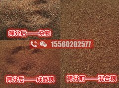 清除海藻籽里面的小石子用啥機(jī)器比較好？海藻籽篩分機(jī)